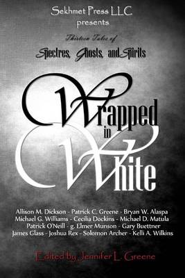 Book cover for Wrapped In White