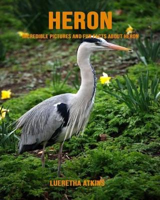 Book cover for Heron