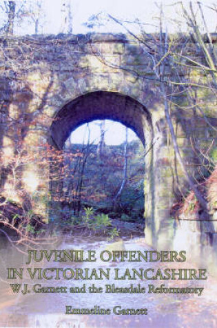 Cover of Juvenile Offenders in Victorian Lancashire