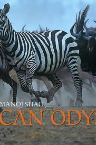 Cover of African Odyssey: 365 Days
