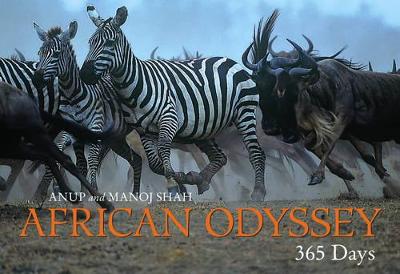 Book cover for African Odyssey: 365 Days