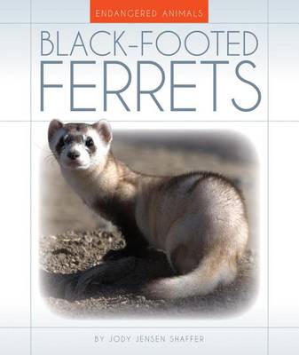 Cover of Black-Footed Ferrets