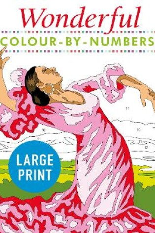 Cover of Wonderful Colour by Numbers Large Print