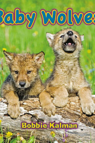 Cover of Baby Wolves