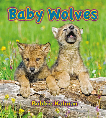 Book cover for Baby Wolves