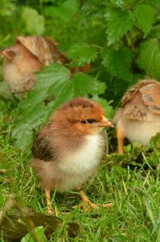 Cover of Adorable Baby Chicks Journal