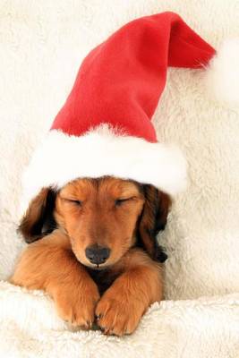 Book cover for Sleeping Christmas Dachshund Puppy in Santa Hat Journal