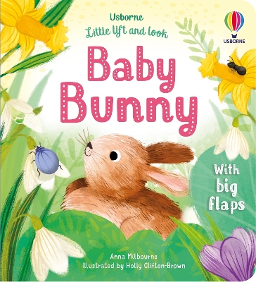 Book cover for Little Lift and Look Baby Bunny