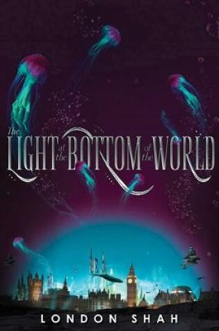 Cover of The Light at the Bottom of the World