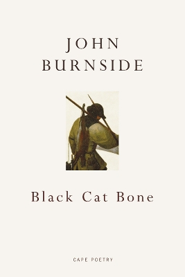 Book cover for Black Cat Bone