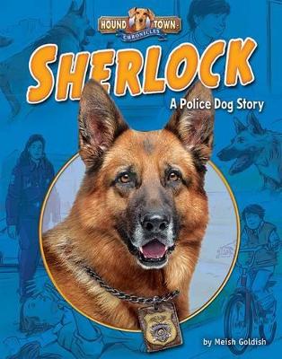 Book cover for Sherlock