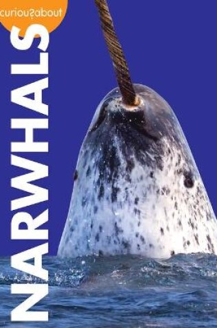 Cover of Curious about Narwhals