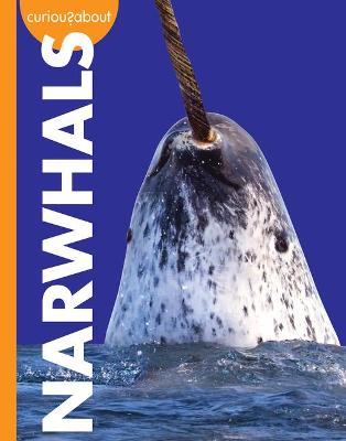 Cover of Curious about Narwhals