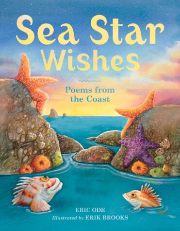 Book cover for Sea Star Wishes