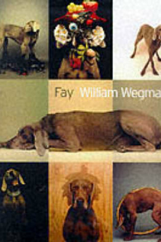 Cover of Fay