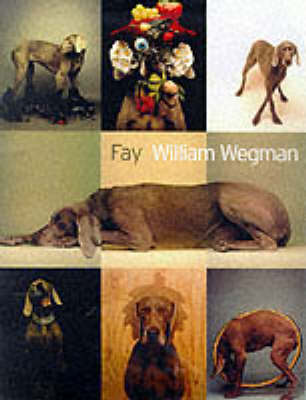 Book cover for Fay