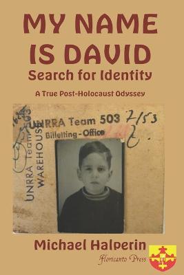 Book cover for My Name Is David Search for Identity