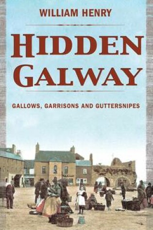 Cover of Hidden Galway