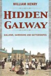 Book cover for Hidden Galway