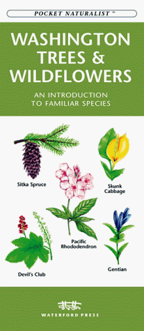 Book cover for Washington Trees and Wildflowers