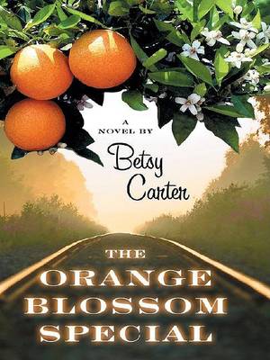 Book cover for The Orange Blossom Special