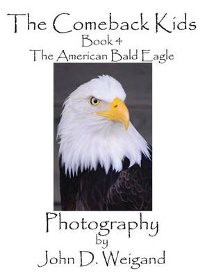 Book cover for The Comeback Kids, Book 4, The American Bald Eagle