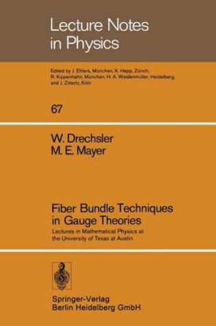 Cover of Fiber Bundle Techniques in Gauge Theories