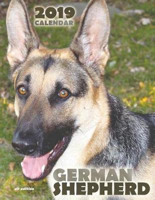 Book cover for German Shepherd 2019 Calendar (UK Edition)