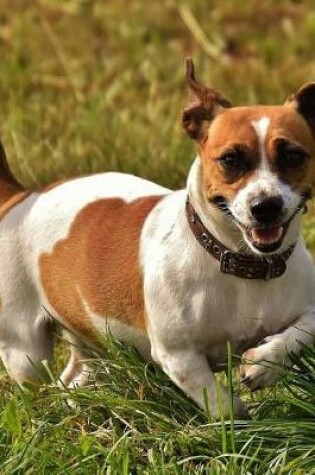 Cover of Jack Russell Terrier Dog Running in the Grass Journal