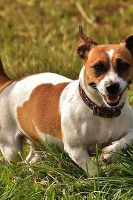 Book cover for Jack Russell Terrier Dog Running in the Grass Journal