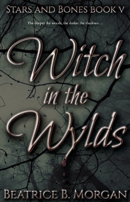 Book cover for Witch in the Wylds