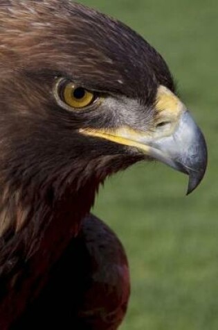 Cover of Cool Portrait of a Falcon Close Up Bird of Prey Journal