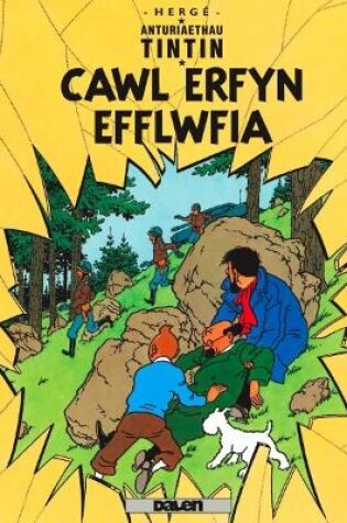 Cover of Cyfres Anturiaethau Tintin: Cawl Erfyn Efflwfia