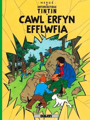 Book cover for Cyfres Anturiaethau Tintin: Cawl Erfyn Efflwfia