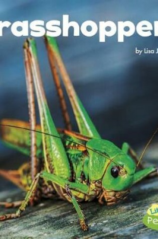 Cover of Grasshoppers