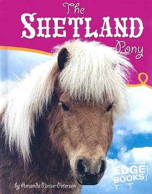 Book cover for The Shetland Pony