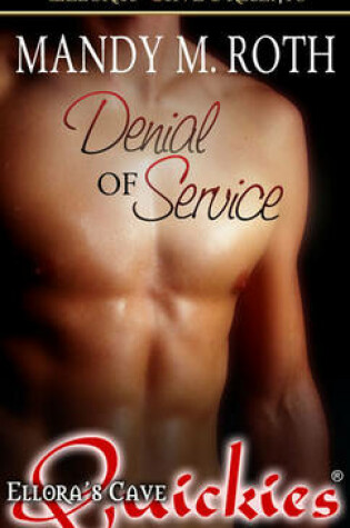 Cover of Denial of Service