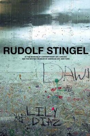 Cover of Rudolf Stingel