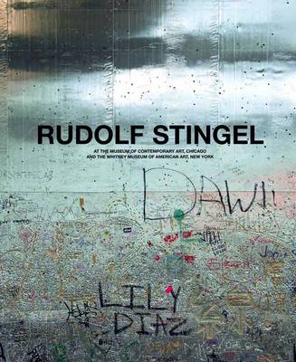 Book cover for Rudolf Stingel