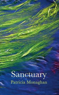 Book cover for Sanctuary