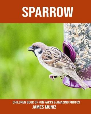 Book cover for Sparrow