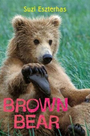 Cover of Brown Bear