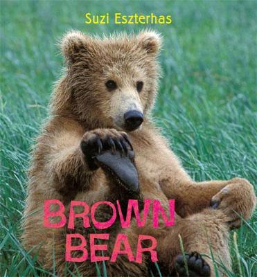 Book cover for Brown Bear