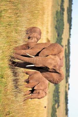 Book cover for Three Elephants on the Plains in Kenya, Africa Journal