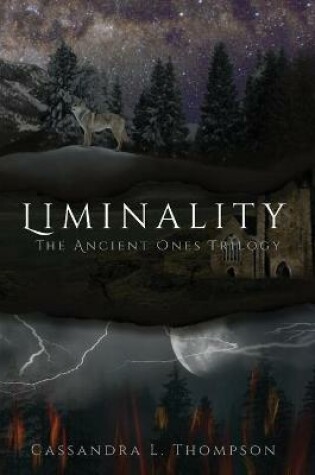 Cover of Liminality