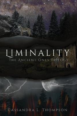 Cover of Liminality