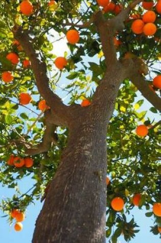 Cover of Picking Oranges from the Tree Journal