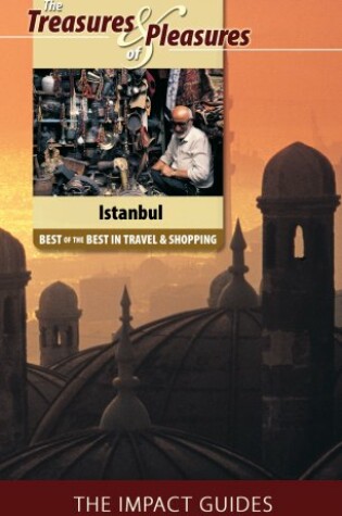 Cover of The Treasures and Pleasures of Istanbul