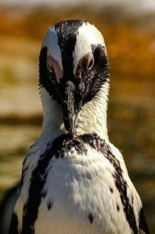 Cover of Portrait of an African Penguin Journal