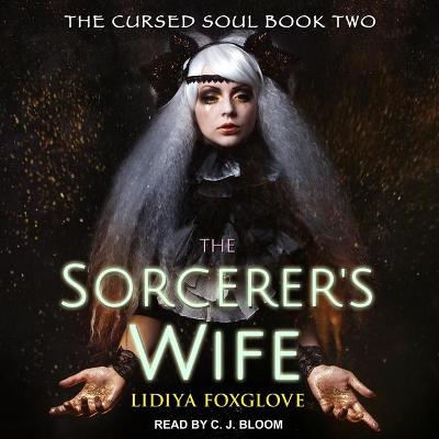 Book cover for The Sorcerer's Wife